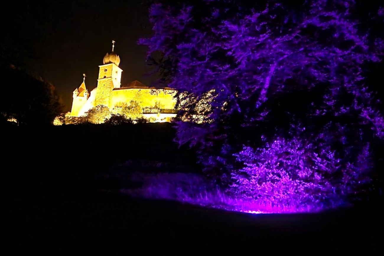 Coburg leuchtet - Veste